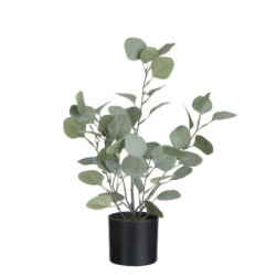 Dekorace Eucalyptus v květináči - Ø12*43cm