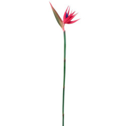 Dekorační květina růžová Strelitzia - 107cm