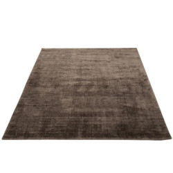 Koberec Taupe - 200*300 cm
