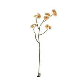 Větvička s béžovými květy Tweedia - 7*10*51 cm