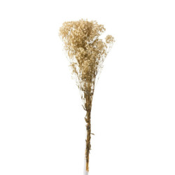 Svazek přírodní sušené trávy Gypsophila - 10*5*84 cm