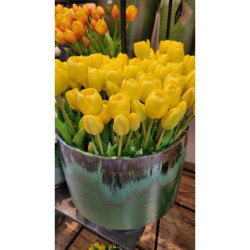 Kytice 5ks žlutých realistických tulipánů - 40cm
