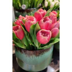 Kytice 7ks tmavě růžových realistických tulipánů Tulips - 31cm