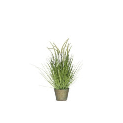 Okrasná tráva v květináči - Ø52*81cm