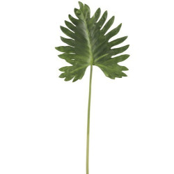Okrasný list Monstera - 106cm