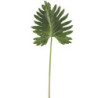 Okrasný list Monstera - 106cm