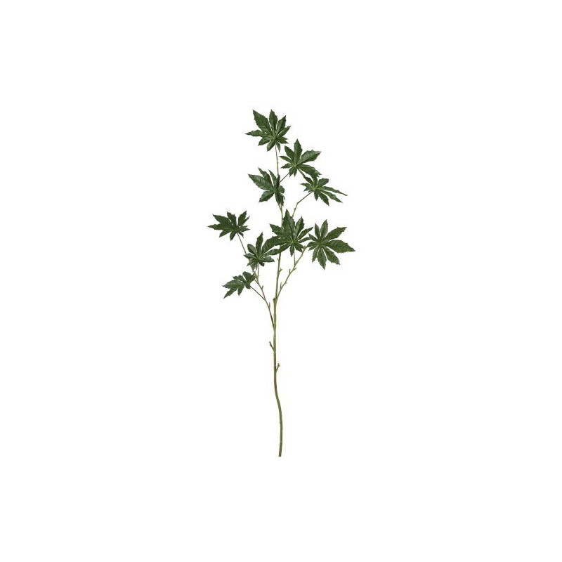 Okrasný list Papaya - 122cm