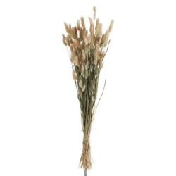 Sušená dekorativní květina Bundle Plume - 16*16*84 cm