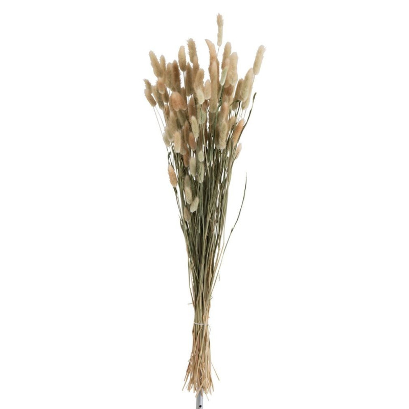Sušená dekorativní květina Bundle Plume - 16*16*84 cm
