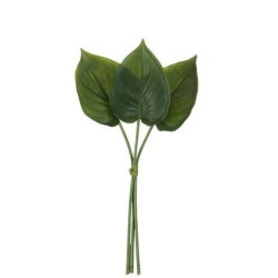 3 okrasné listy Philodendron I - 30cm