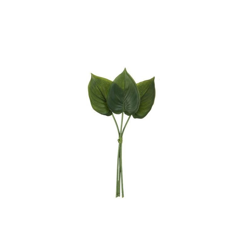 3 okrasné listy Philodendron I - 30cm