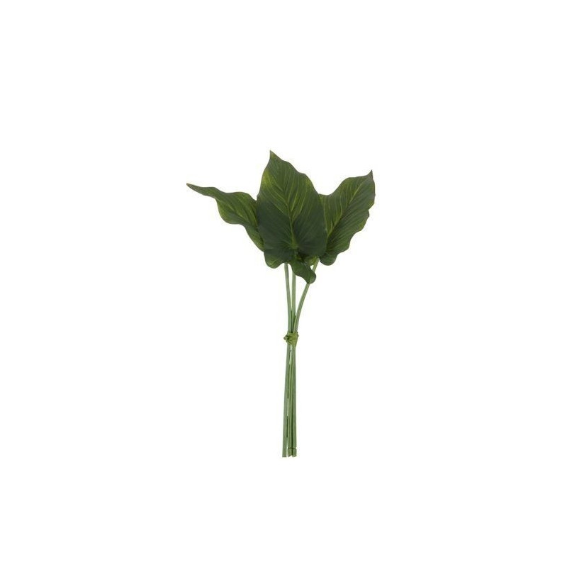 3 okrasné listy Philodendron II - 30cm